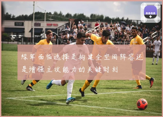 绿军面临选择是构建全空间阵容还是增强主攻能力的关键时刻