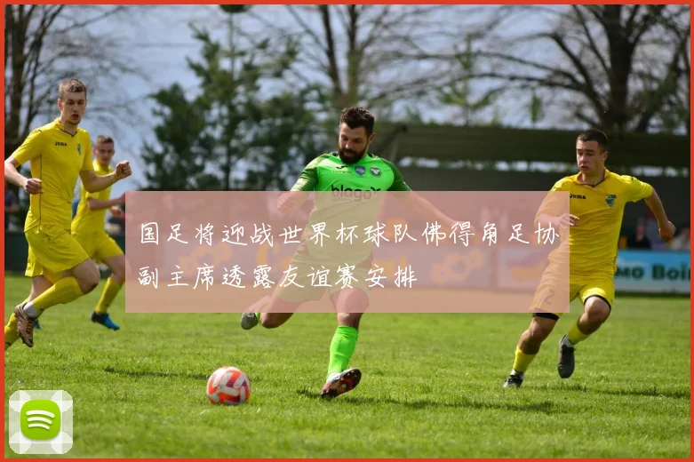 国足将迎战世界杯球队佛得角足协副主席透露友谊赛安排