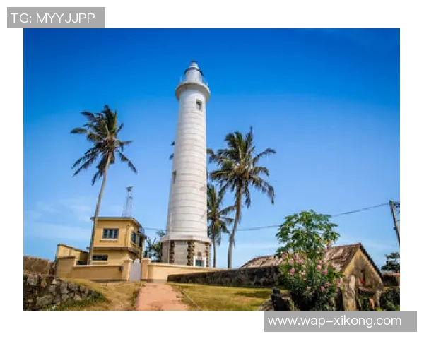 受限制自由球员动态更新格莱姆斯未续约小火车获报价库明加续约两年解析