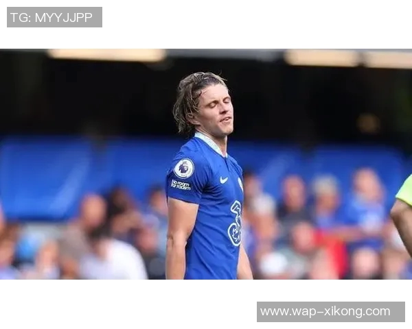 热刺伤情更新穆阿尼德拉古辛有望出战维拉索兰克归期仍待确定