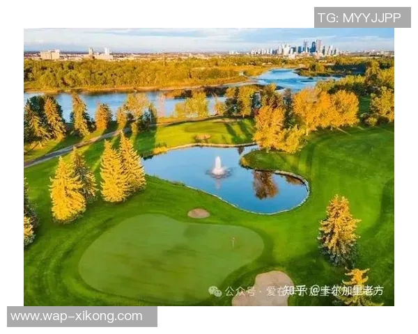 17岁卡尔一周精彩表现首球连连创历史高中生活与职业梦想交织