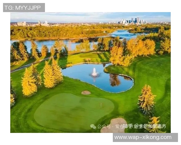 17岁卡尔一周精彩表现首球连连创历史高中生活与职业梦想交织 17岁卡尔一周精彩表现首球连连创历史高中生活与职业梦想交织