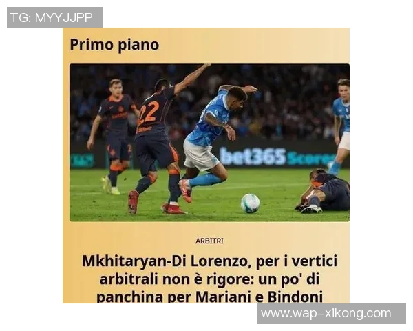 裁判负责人解析国米点球争议认为助理裁判应承担主要责任 裁判负责人解析国米点球争议认为助理裁判应承担主要责任