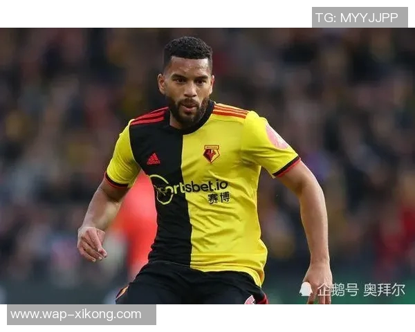 沃特福德球员因左腿内收肌拉伤预计缺阵两周以上 沃特福德球员因左腿内收肌拉伤预计缺阵两周以上